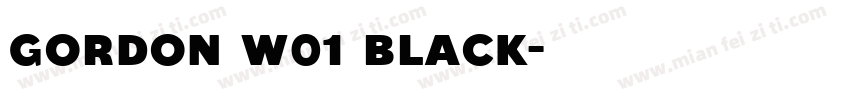 Gordon W01 Black字体转换